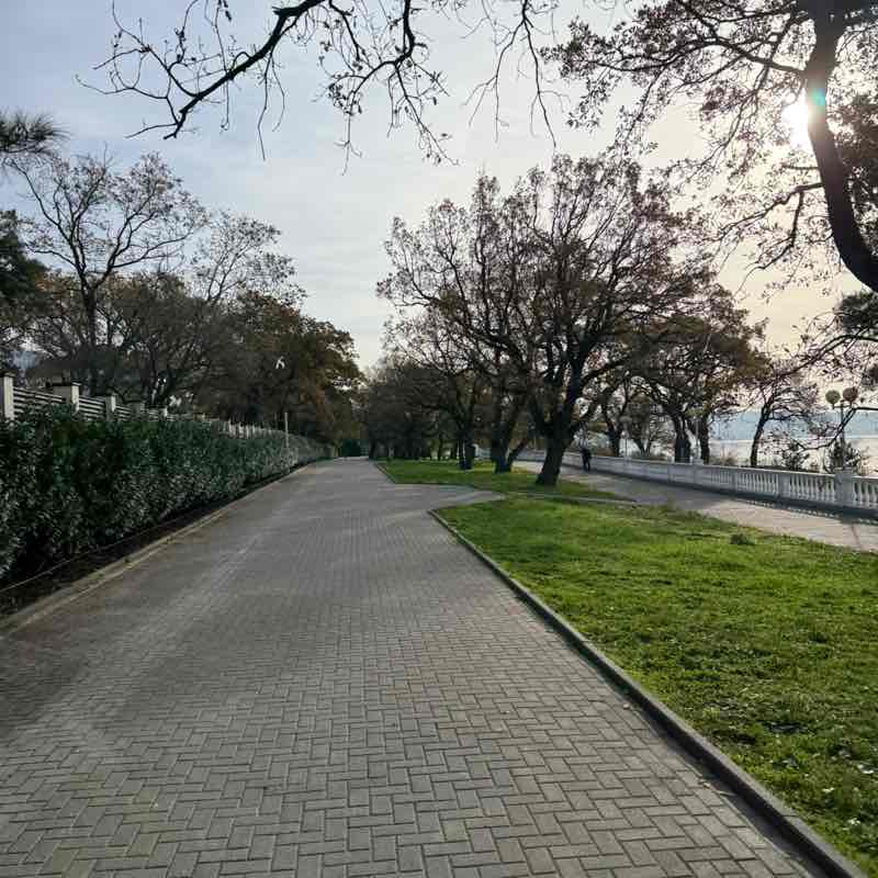 Александр🐯 post 1