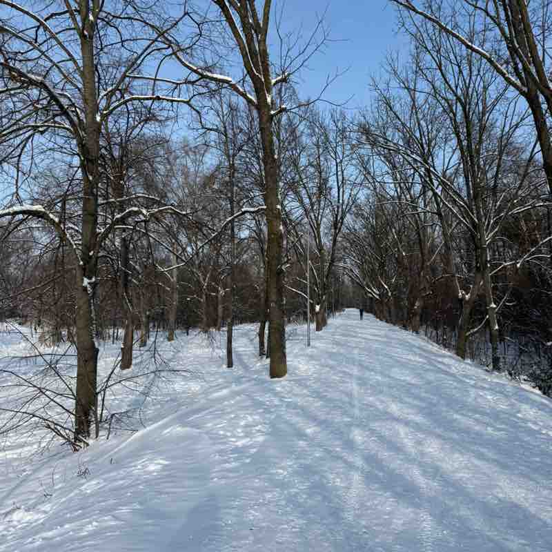 Александр🐯 post 3