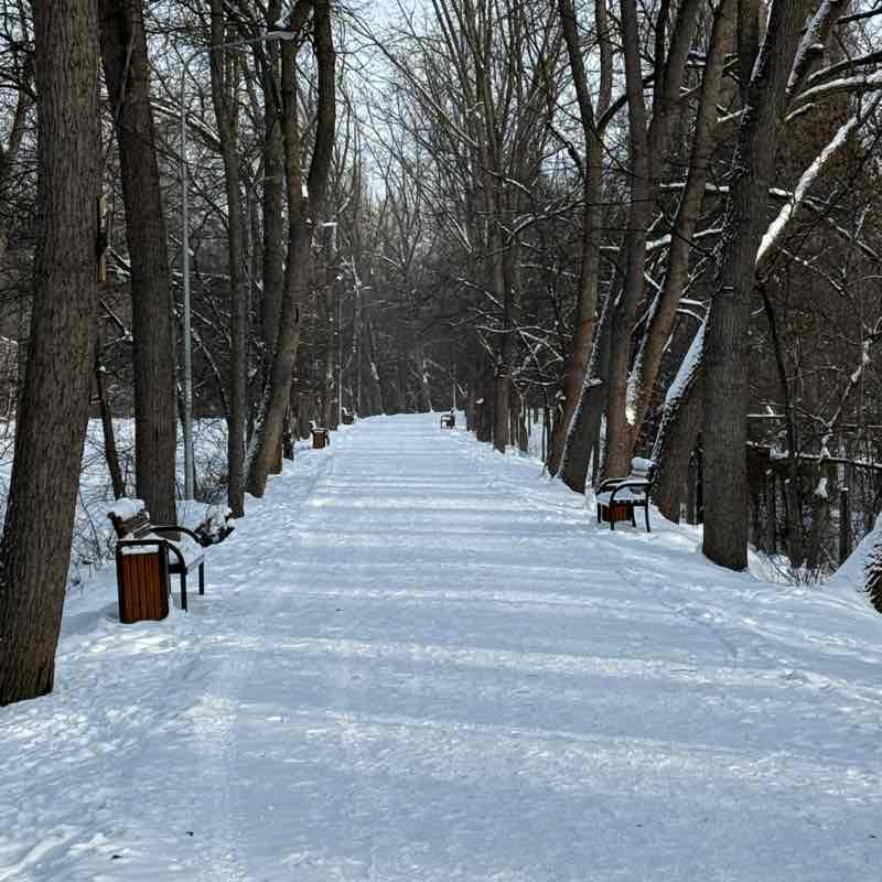 Александр🐯 post 2