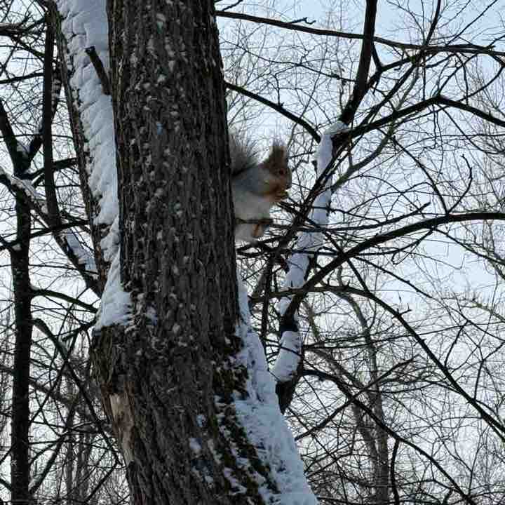 Александр🐯 post 1