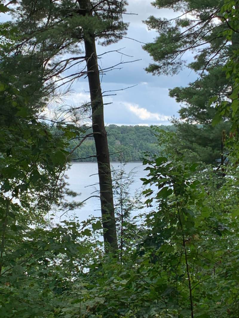 walking near me in Nepaug Reservoir Watershed in winter