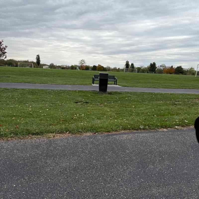 rforschner1018 post 2