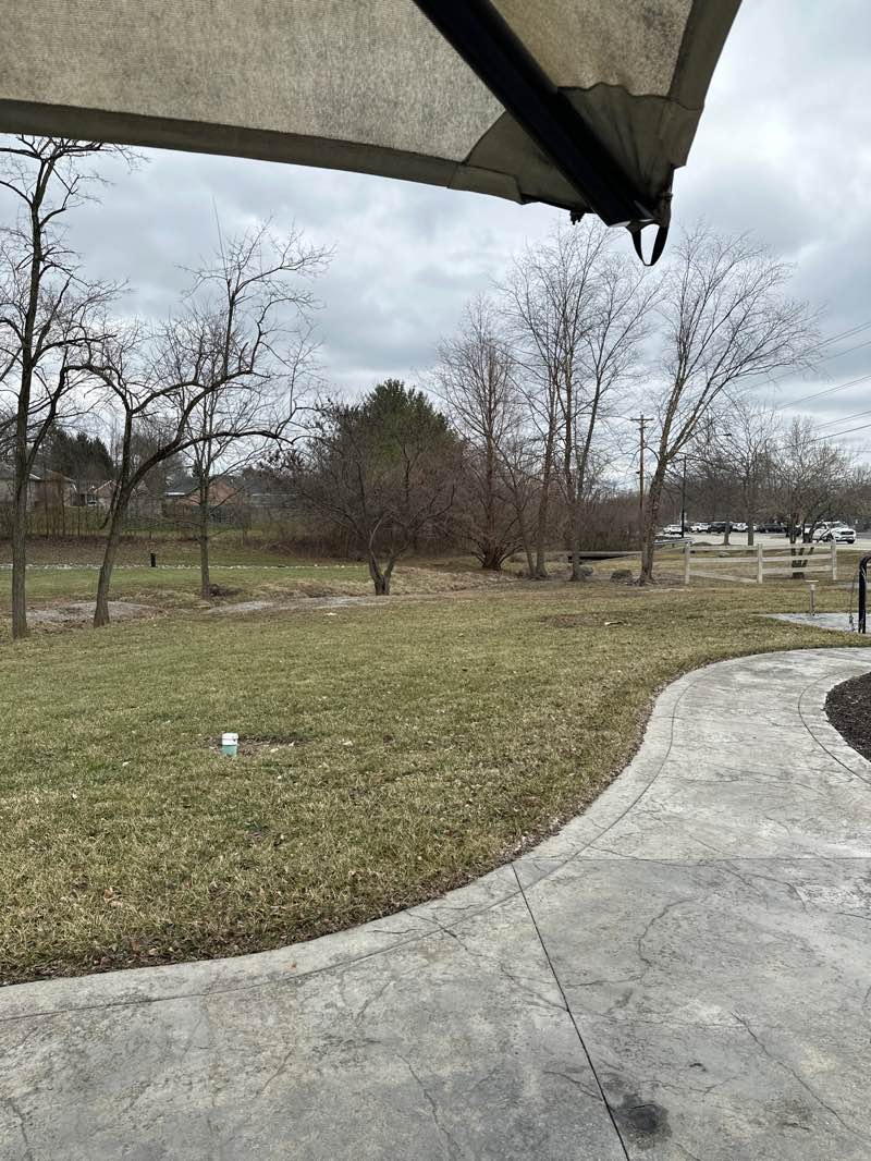 walking near me in Mills Park in spring