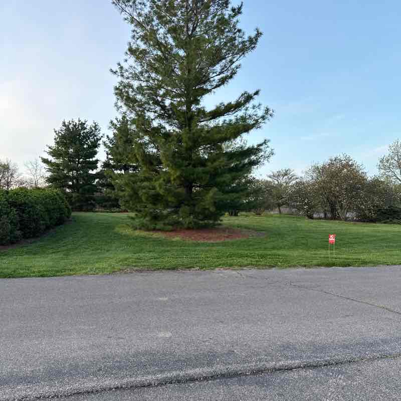 rforschner1018 post 1