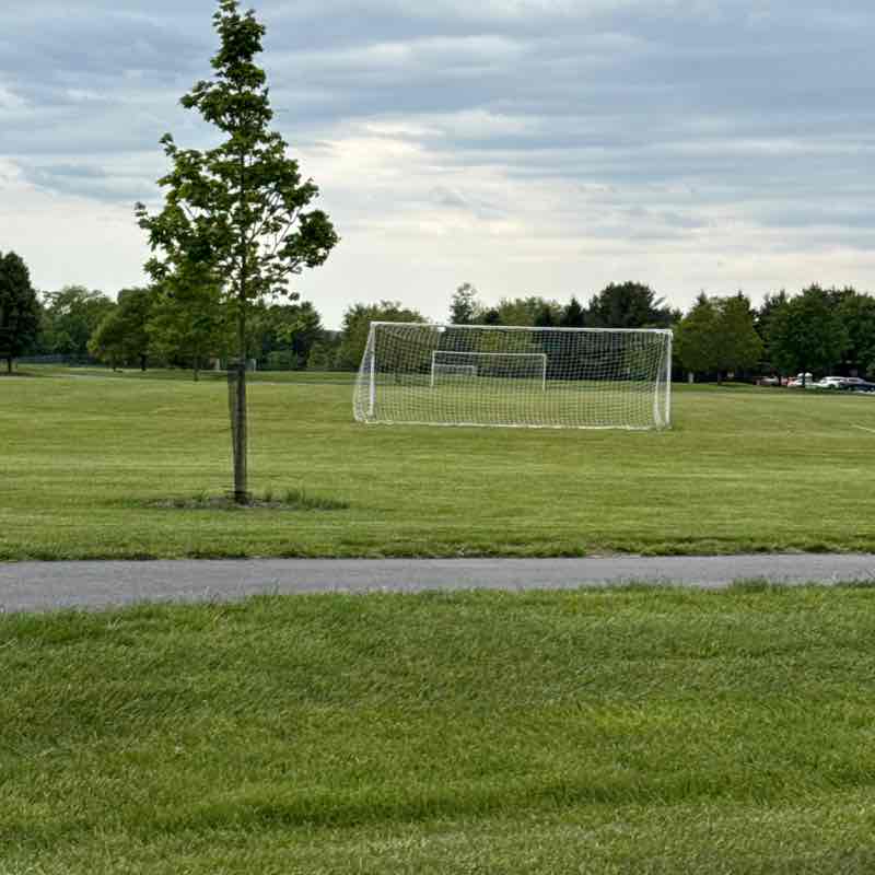 rforschner1018 post 3