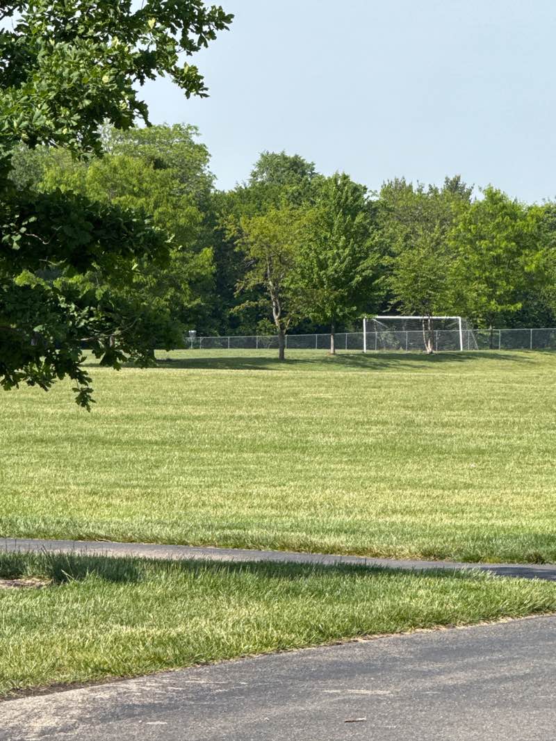 walking near me in Patricia Allyn Park in summer