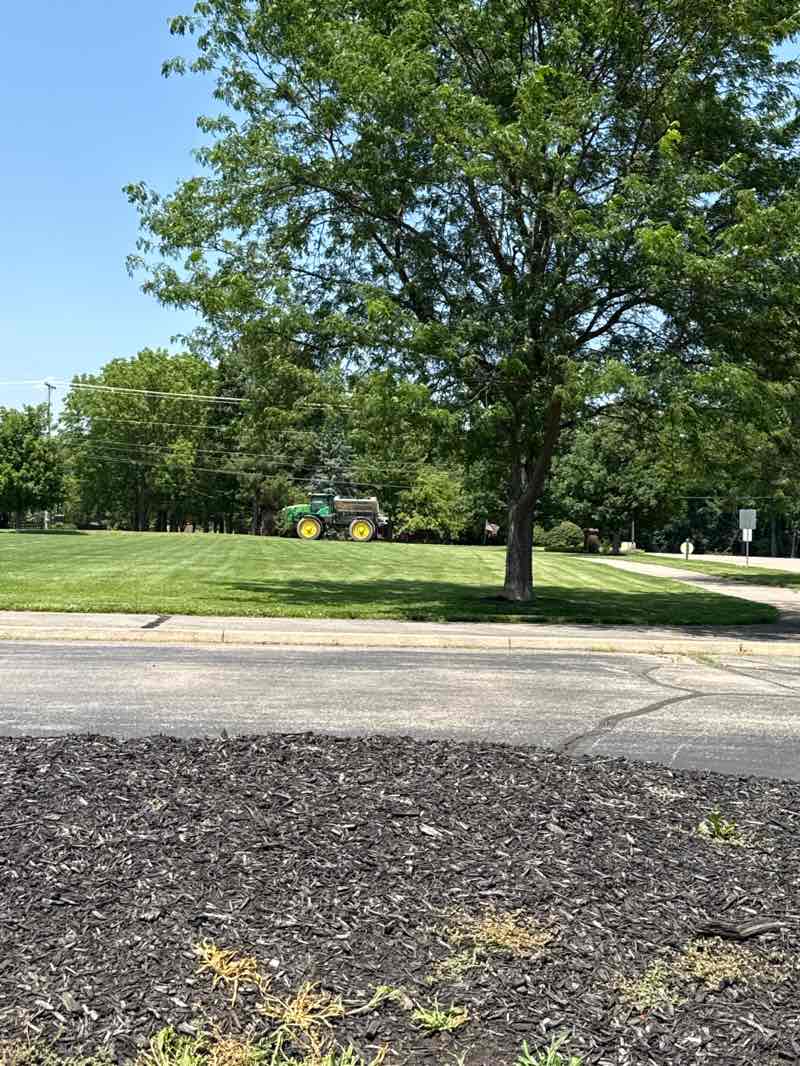 walking near me in Oak Grove Park in summer