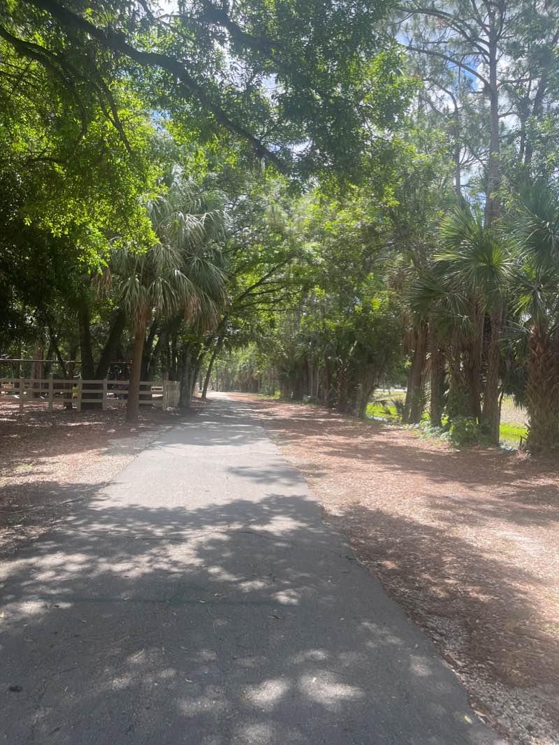 walking near me in Hampton Pines Park in winter