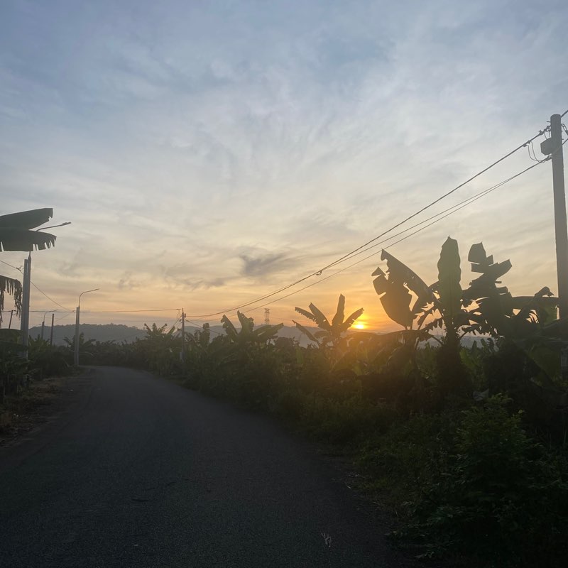Ngan Nguyen （阮 友 银）🇻🇳 post 1