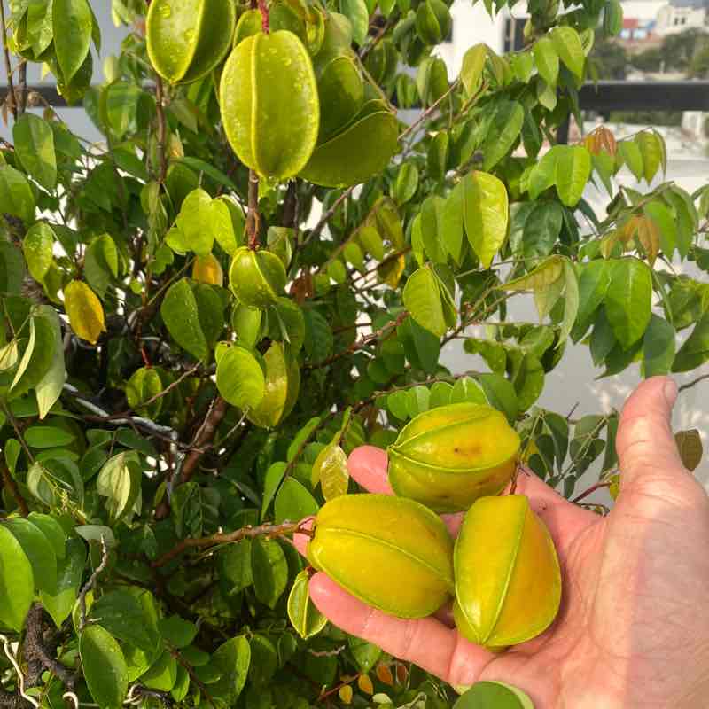 Ngan Nguyen （阮 友 银） post 1