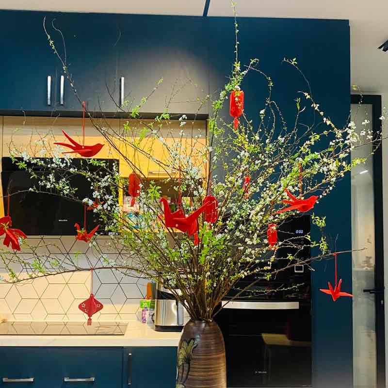 Ngan Nguyen （阮 友 银） post 1