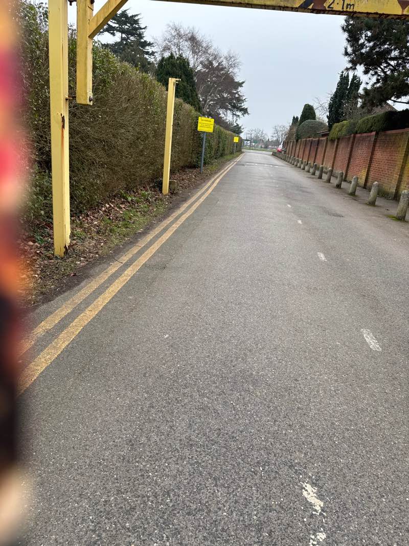 walking near me in Sol Joel Park in winter