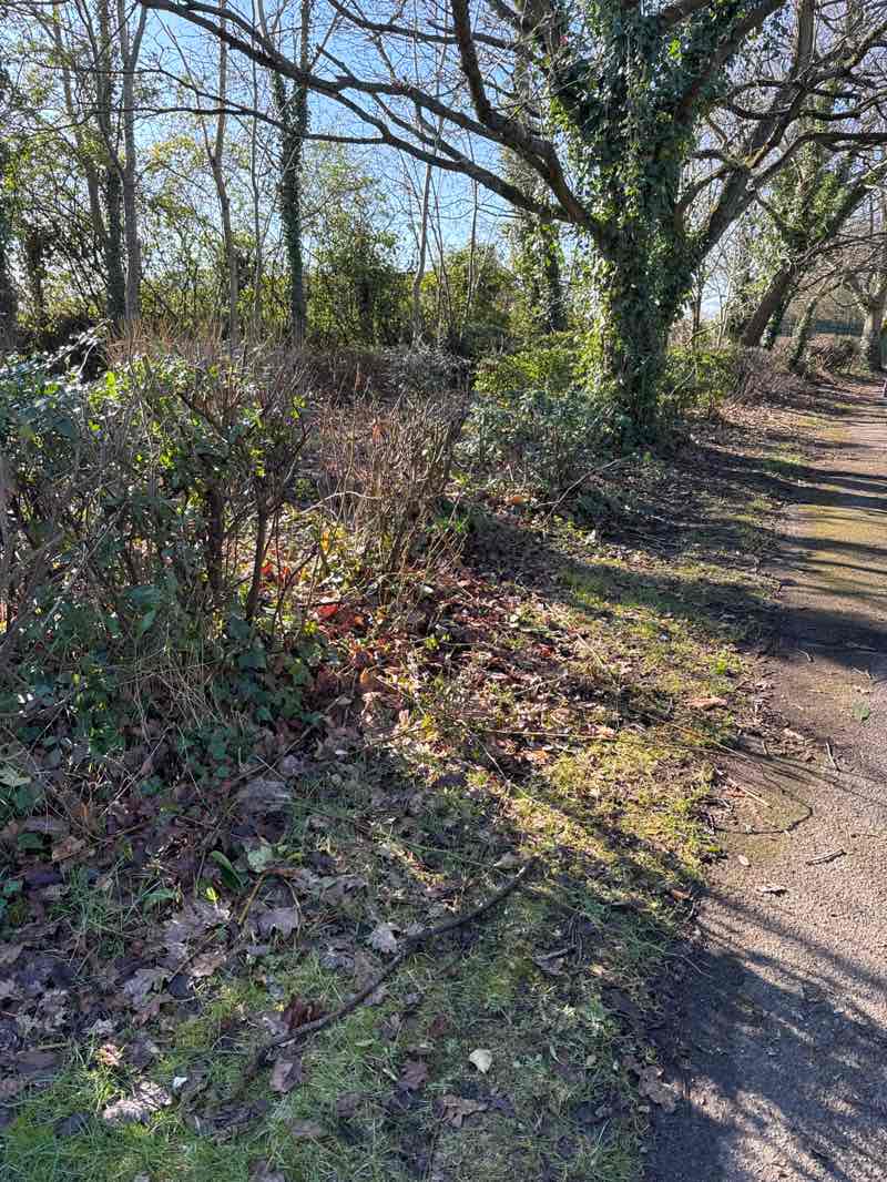 walking near me in Chalfont Park in spring