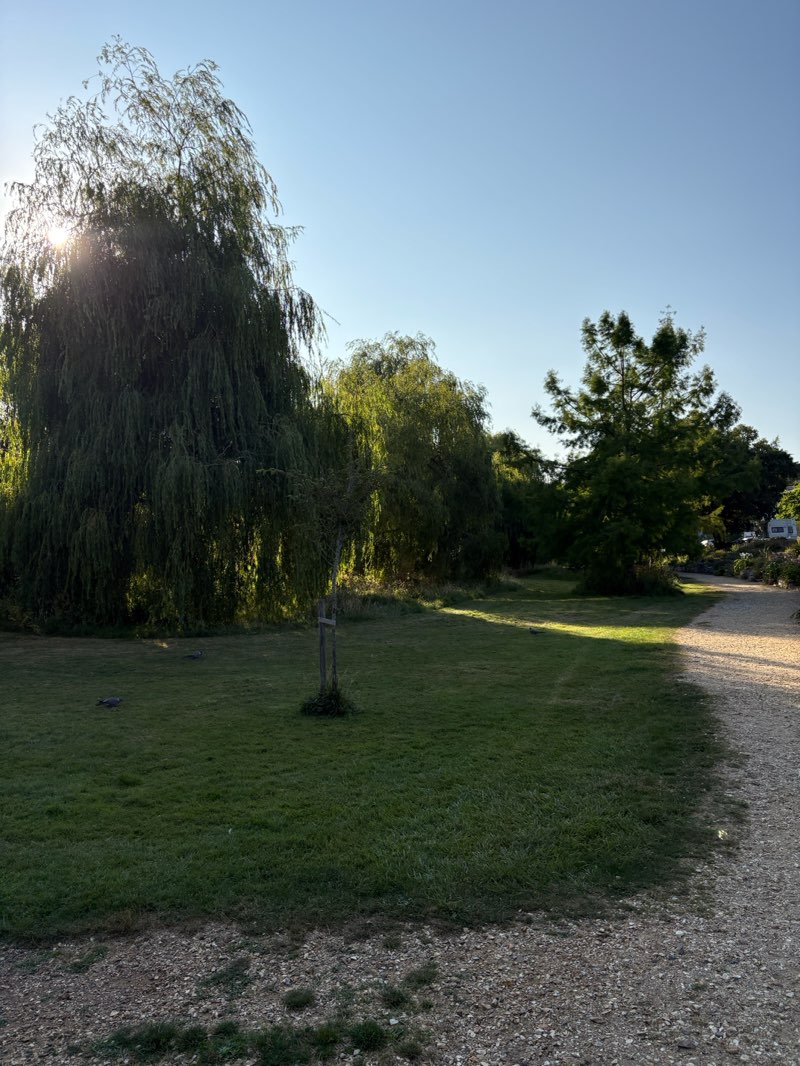 walking near me in Coy Pond Gardens in summer