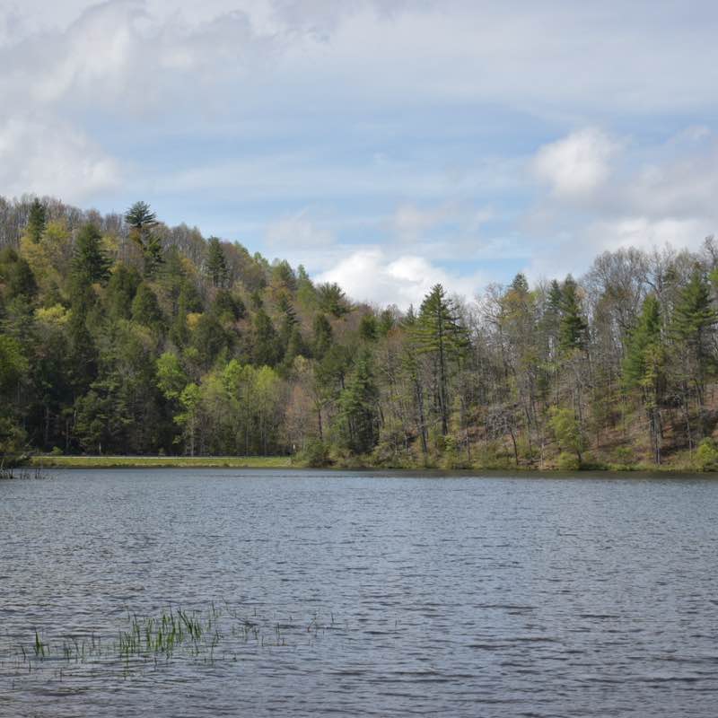 Goal Crushers Brooklynn Kenny post image
