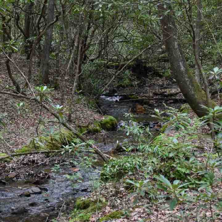 Goal Crushers Brooklynn Kenny post image