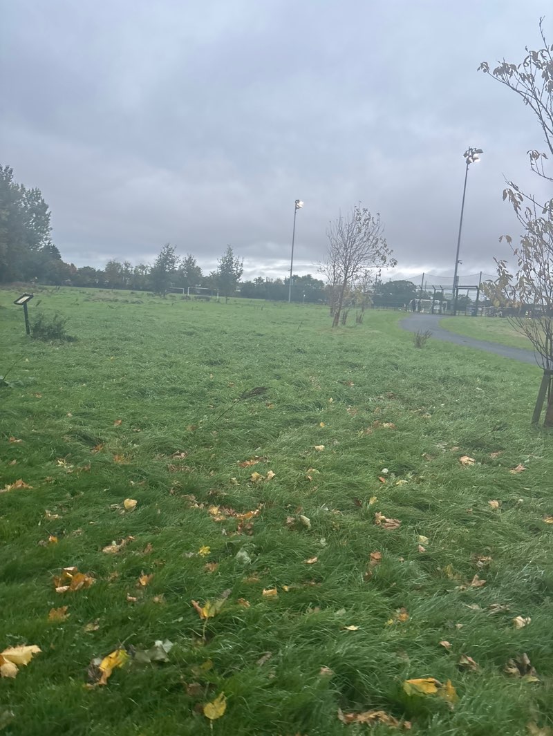 walking near me in Balgaddy Park in autumn