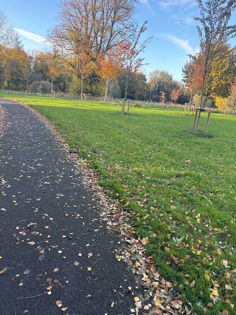 walking near me in Willsbrook Park in autumn