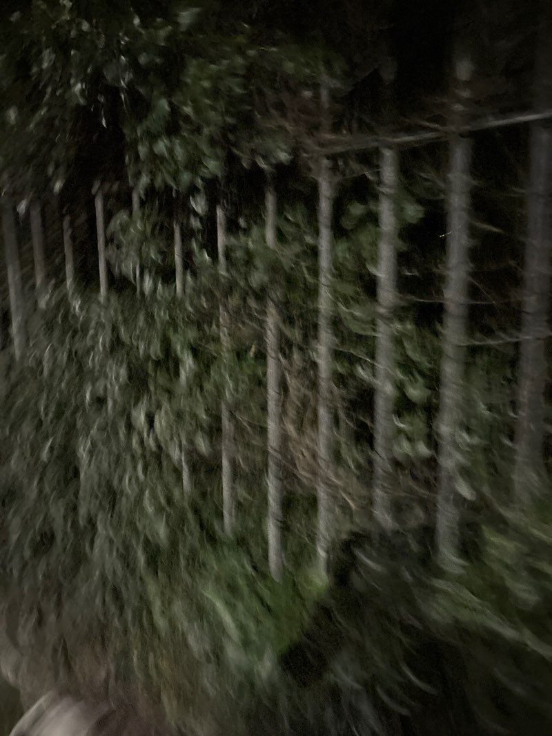 walking near me in Willsbrook Park in winter