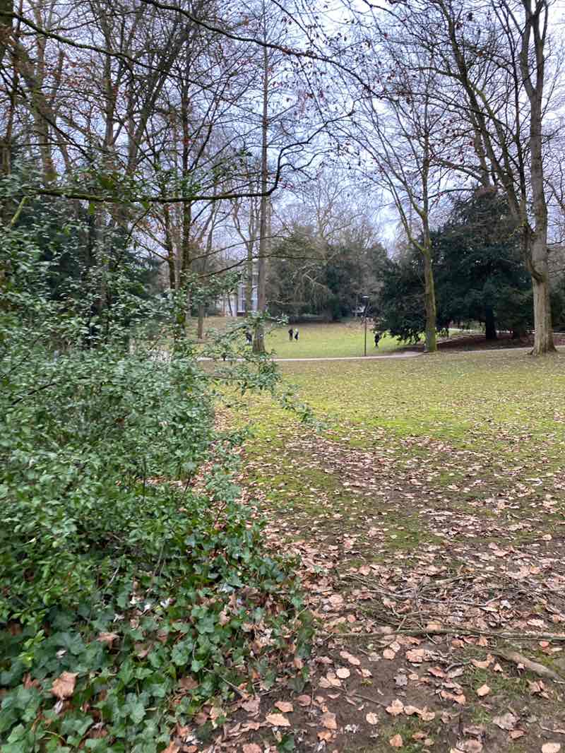walking near me in Edouard André Municipal Park in winter