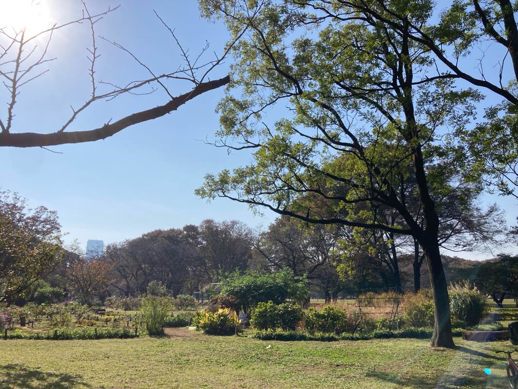walking near me in Miyashita Park in winter