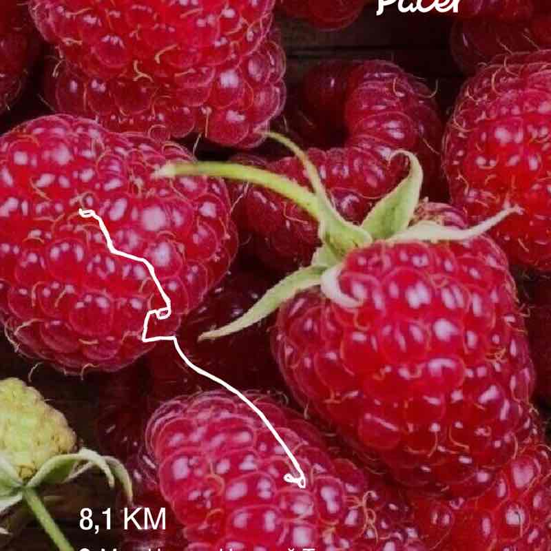 🐯Оксана🐯 post 1