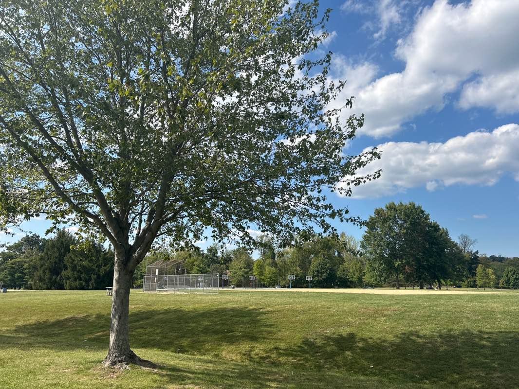 walking near me in Deep Meadow Park in autumn