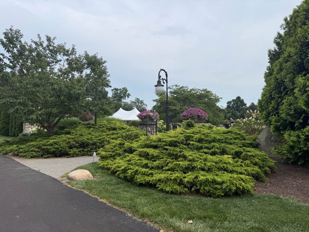 walking near me in Matter Park Gardens in summer