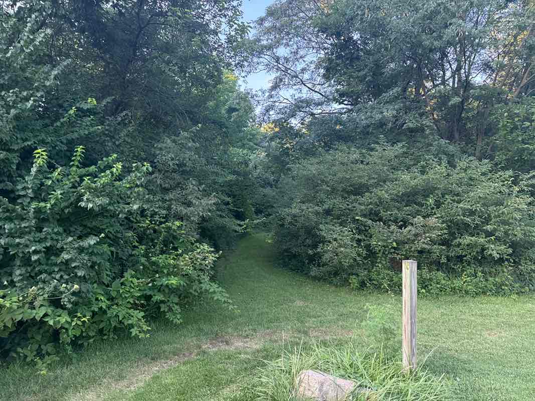 walking near me in Henery B. Wilson Park in summer