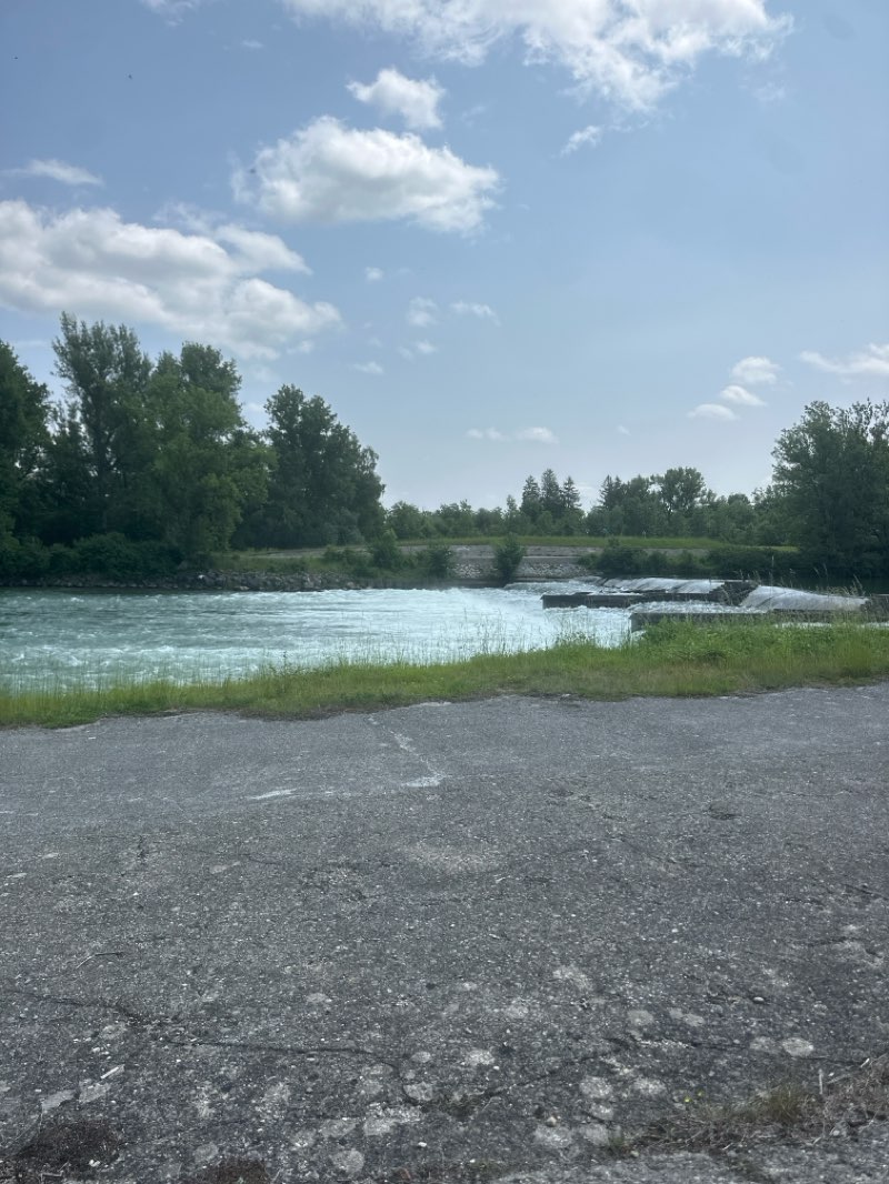 walking near me in Sheridan Park in summer