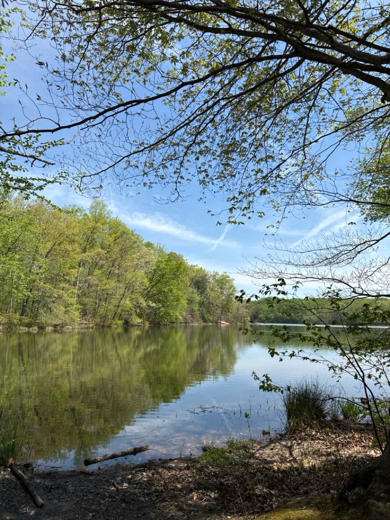 walking near me in Burke Lake Park in spring