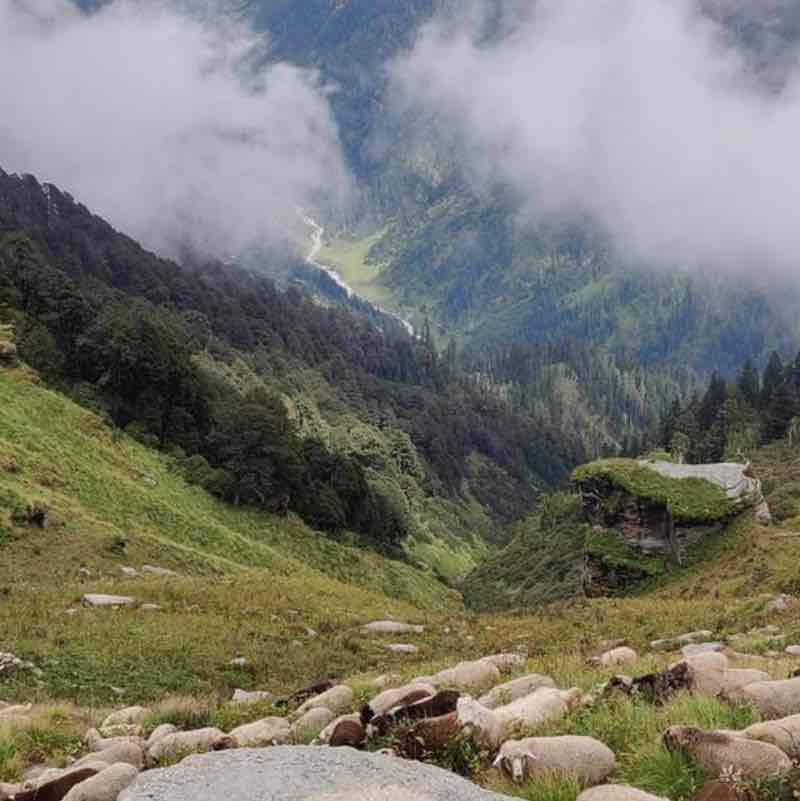 DEEPAK 🇮🇳 post 2