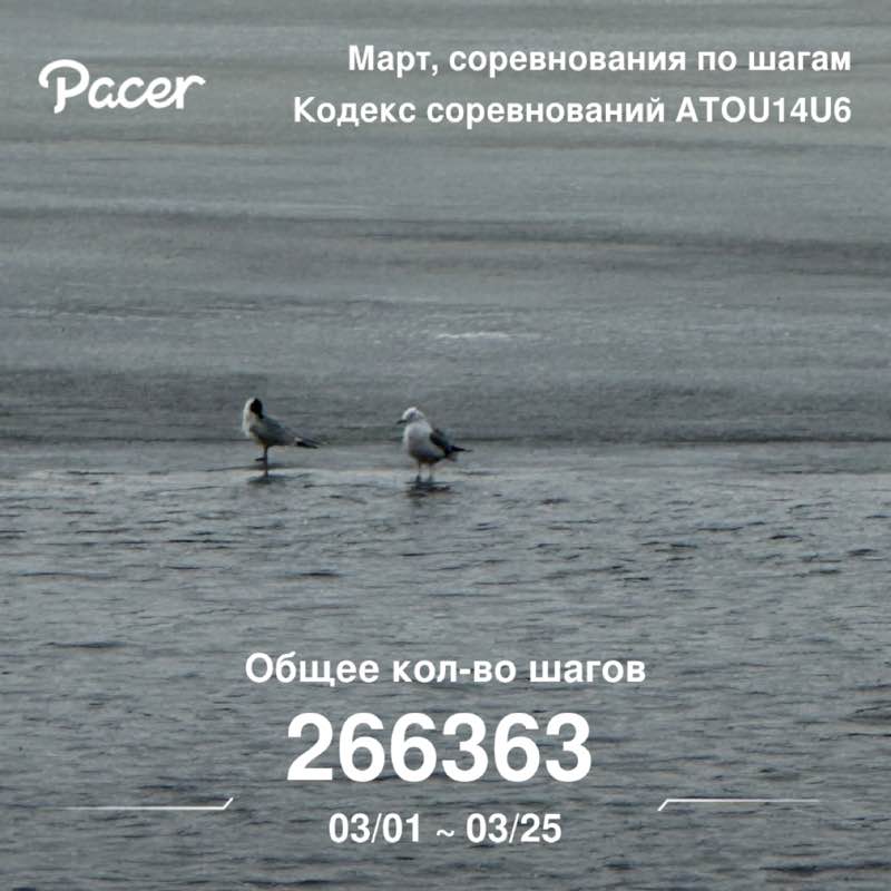 Евгений Быков post 1