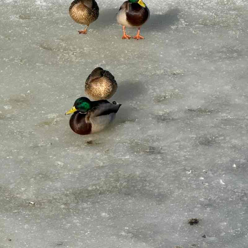 Евгений Быков post 3