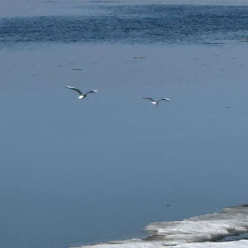 Евгений Быков post 2