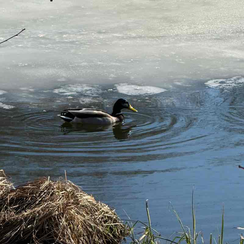 Евгений Быков post 3