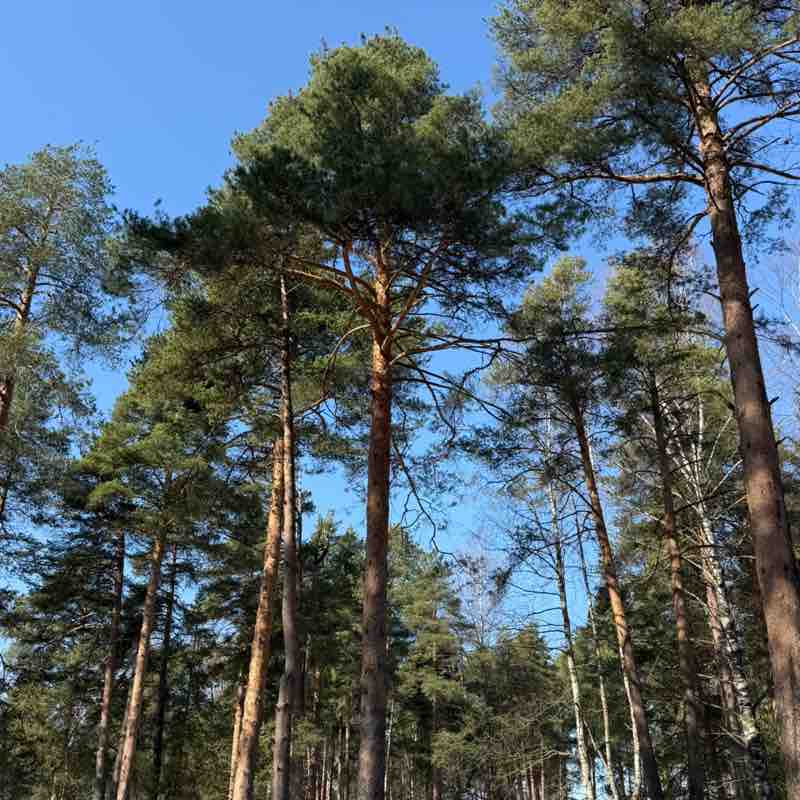 Евгений Быков post 2