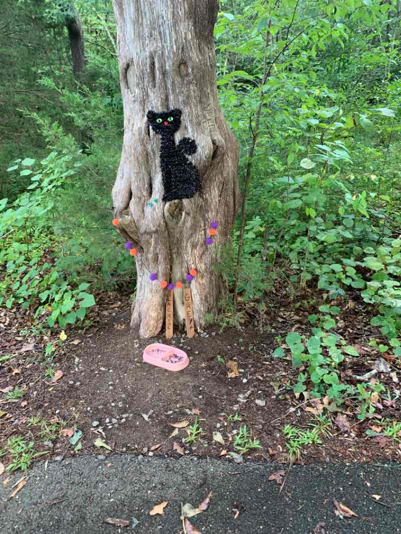 walking near me in Jackson County Park in winter
