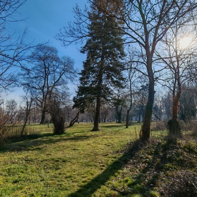 💓Aidos 2025 Challenge💗 Стойчо post image