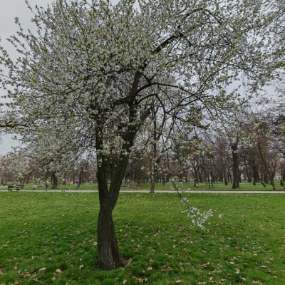 💓Aidos 2025 Challenge💗 Стойчо post image