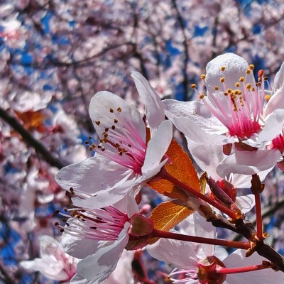 💓Aidos 2025 Challenge💗 Стойчо post image