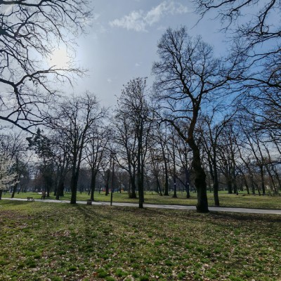 Motivator for walking Стойчо post image