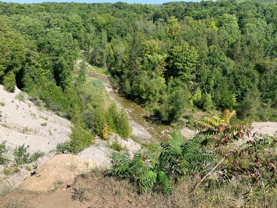 walking near me in Rouge National Park in winter