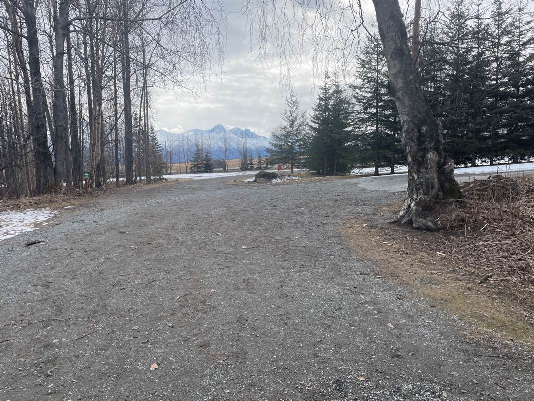walking near me in Matanuska River Park in spring