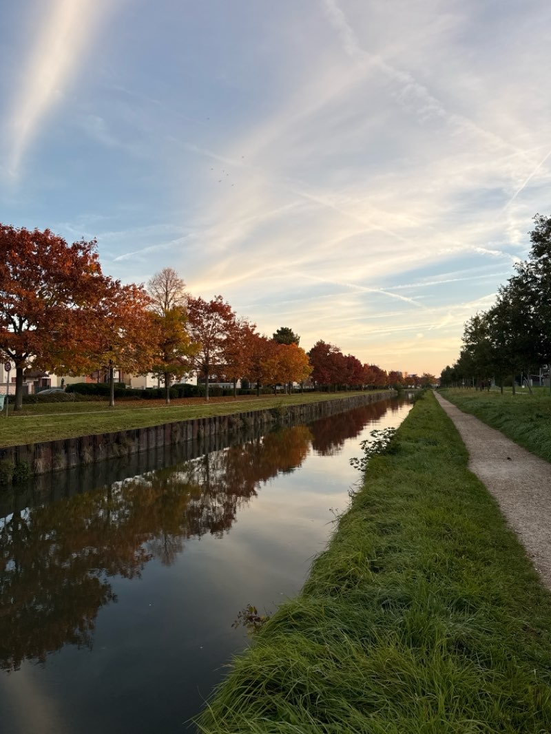 walking near me in Parc paysager de la friche Kodak in autumn