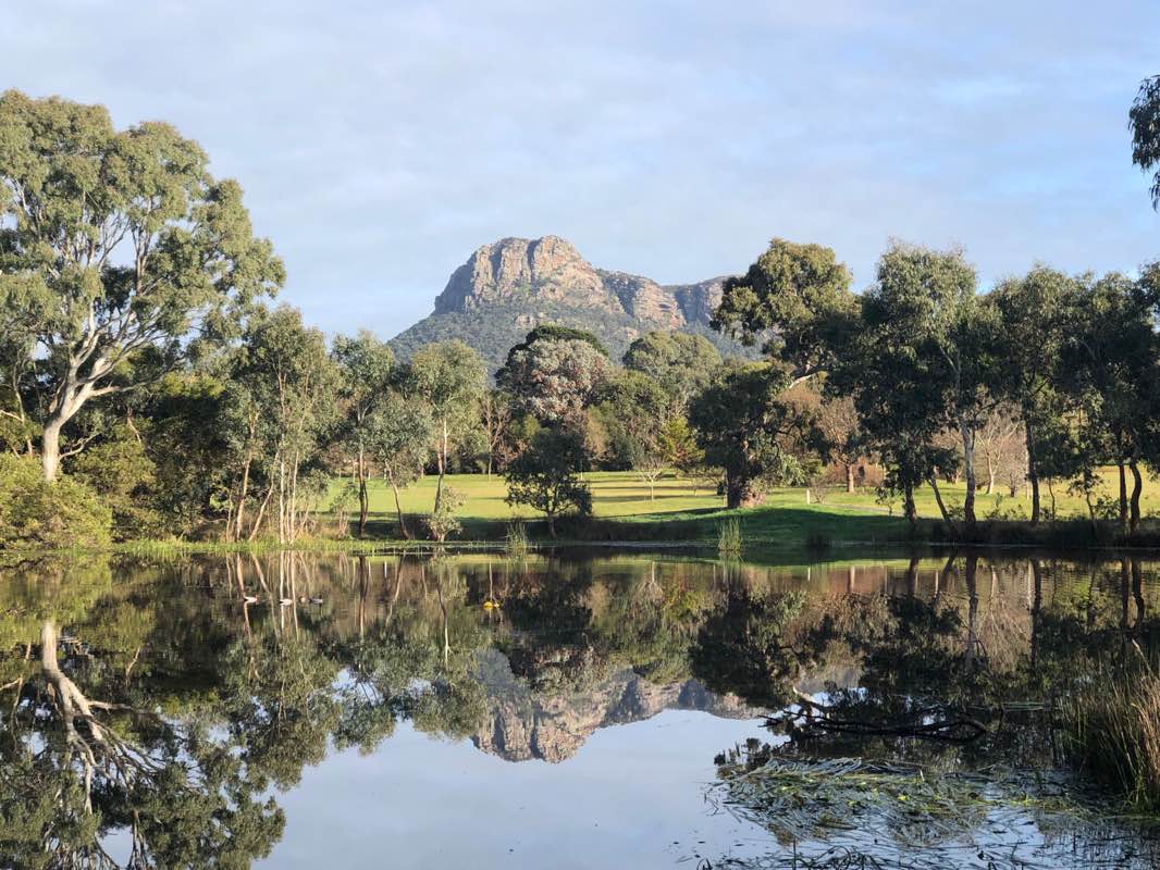 walking near me in Dunkeld Arboretum in summer
