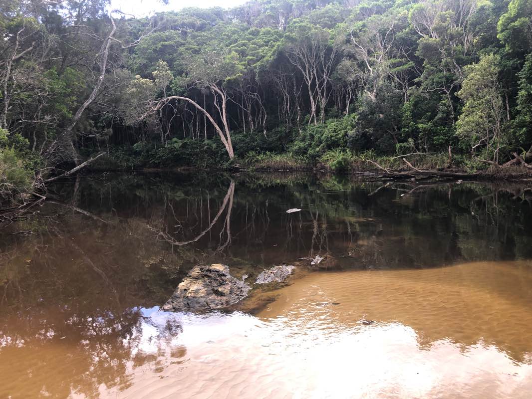 walking near me in Bongil Bongil National Park in summer