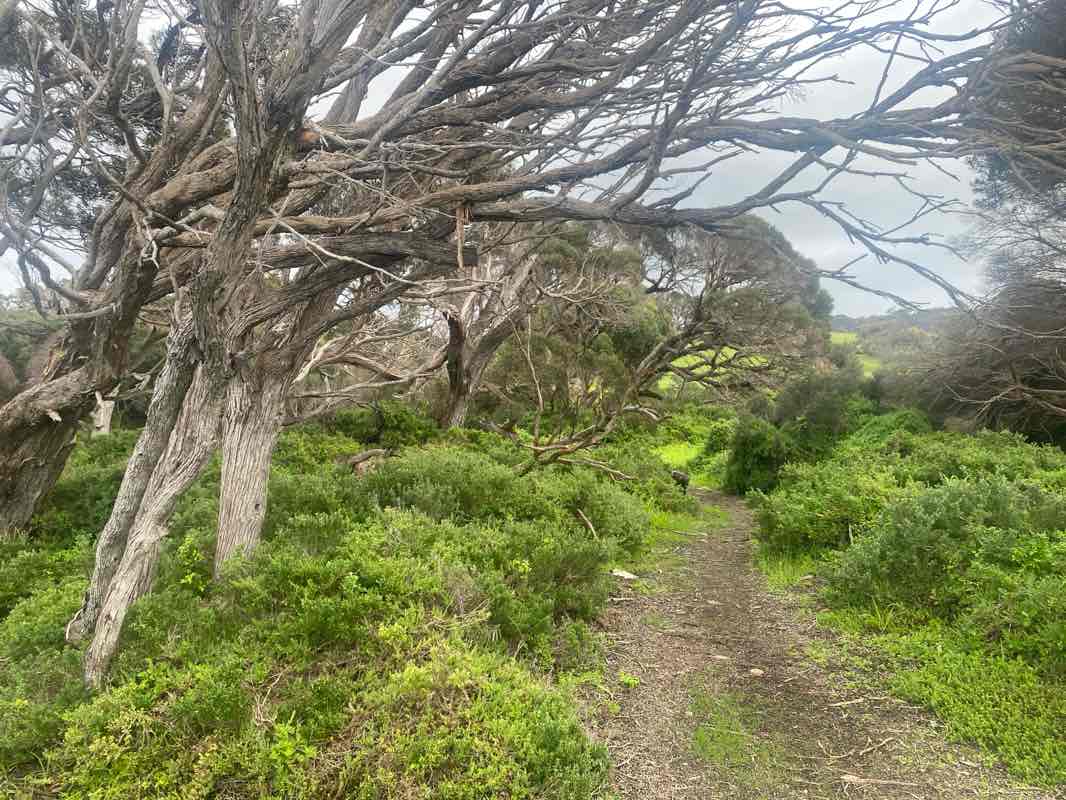 walking near me in Encounter Marine Park in winter