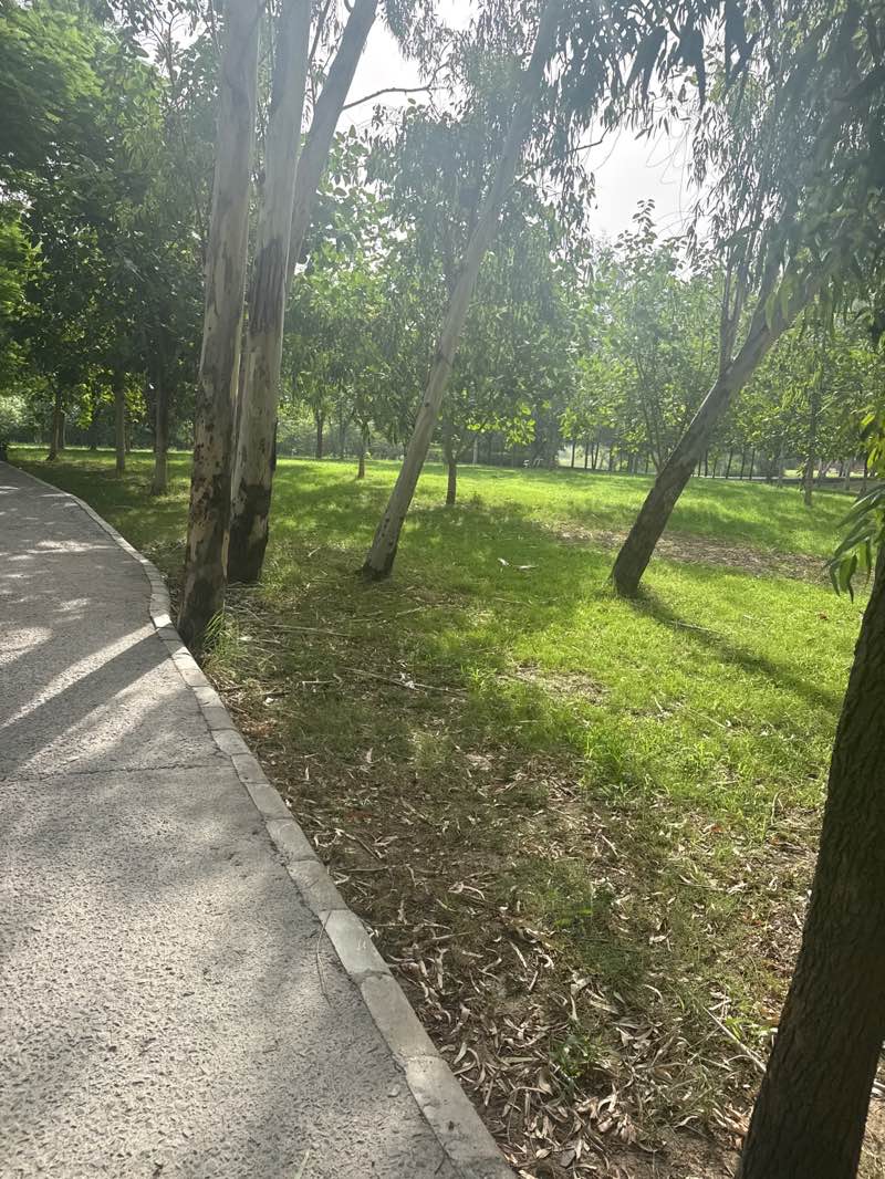 walking near me in Biodiversity Park in summer