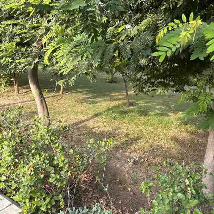 Manjeet post 2